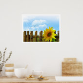 Poster Fleurs de soleil par une clôture sous ciel bleu (Cuisine)