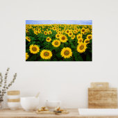 Poster Fleurs de soleil pour toujours (Cuisine)