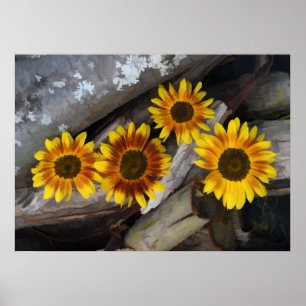Poster Fleurs de soleil sur les billes Brown Jaune Vintag