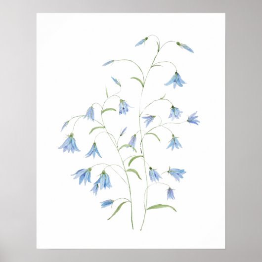 Poster fleurs de sonnette bleue 2021 aquarelle (Devant)
