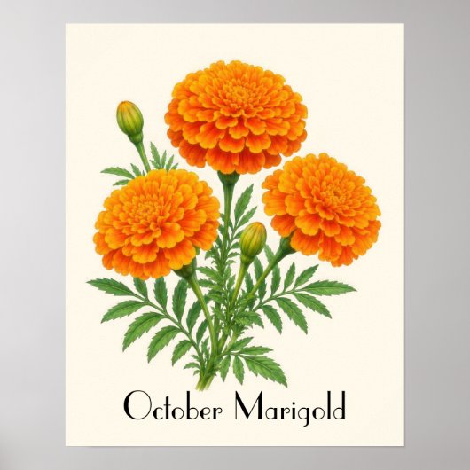 Poster Fleurs de Souci d'Octobre (Devant)