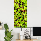Poster Fleurs de succulentes vertes (Bureau à domicile)