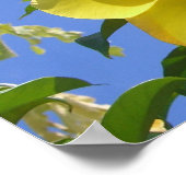 Poster Fleurs de trompette dorée I (Coin)