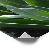 Poster Fleurs de tulipe rose printanière, Prière du Seign (Coin)