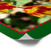 Poster Fleurs de tulipe rouge et jaune vif Abstraites (Coin)