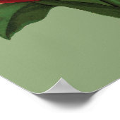 Poster Fleurs de tulipes (Coin)