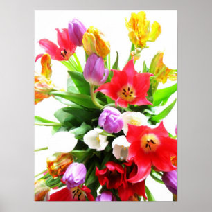 Poster Fleurs de tulipes romantiques de printemps
