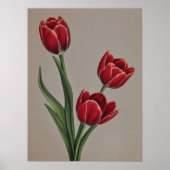 Poster Fleurs de tulipes rouges (Devant)