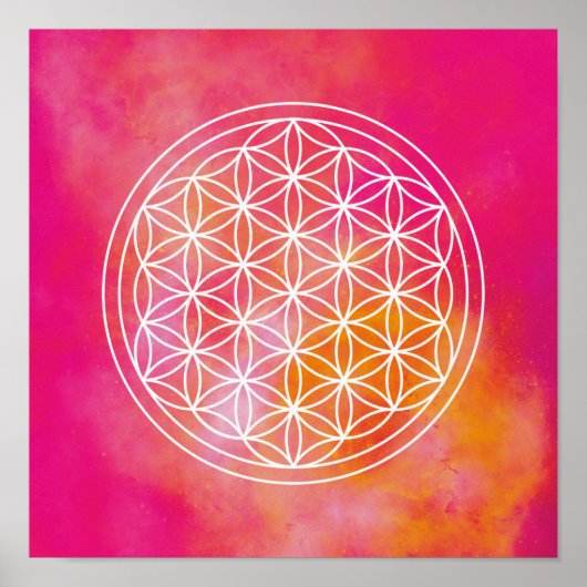 Poster Fleurs de vie (Devant)