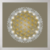 FLEURS DE VIE - Géométrie Sacrée Lumière 1