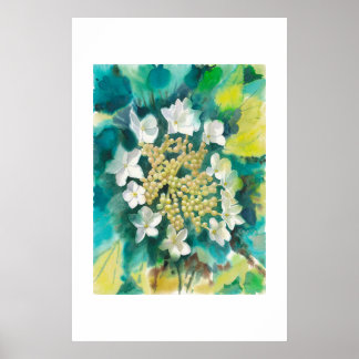 Poster Fleurs de Viorne