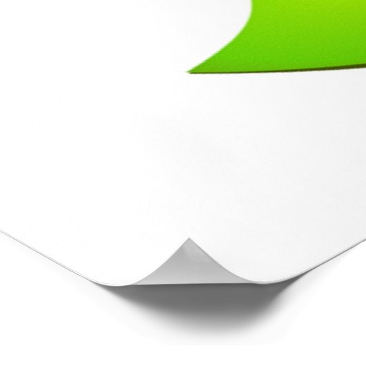 POSTER FLEURS DE VISAGE (Coin)