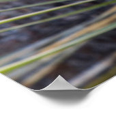 Poster Fleurs De Yucca À Soaptree Dans Le Haut Missouri (Coin)