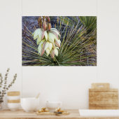 Poster Fleurs De Yucca À Soaptree Dans Le Haut Missouri (Cuisine)