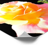 POSTER FLEURS DÉFAVORISÉES AMOUR OUBLIÉ (Coin)