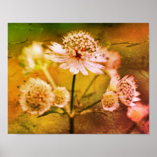 Poster Fleurs délicates Abstraites (Devant)