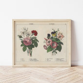 Poster Fleurs d'été | Charlotte Mary Yonge