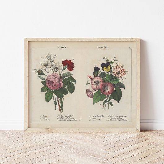 Poster Fleurs d'été | Charlotte Mary Yonge