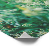 Poster Fleurs d'herbes vertes Feuille prairie Nature (Coin)