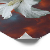 Poster Fleurs D'Hibiscus Blanches Sur Un Ciel Dramatique (Coin)