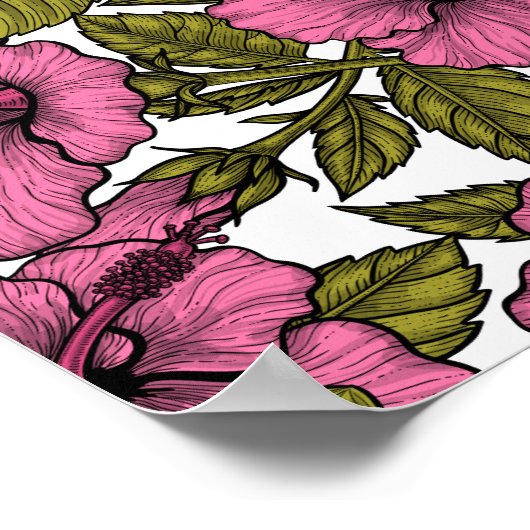 Poster Fleurs d'hibiscus roses (Coin)