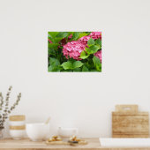 Poster Fleurs d'hortensia rose foncé (Cuisine)