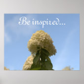 Poster Fleurs d'Hydrangea Ciel Bleu (Devant)