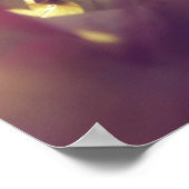 Poster Fleurs d'Hydrangea dans Sunlight Purple Bokeh (Coin)
