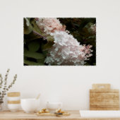 Poster Fleurs d'Hydrangea Photographie rose (Cuisine)