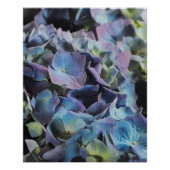 Poster Fleurs d'hydrangée bleu et violet (Devant)