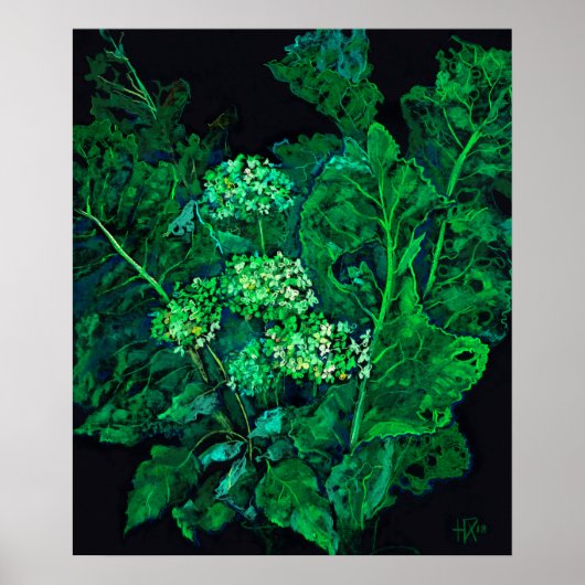 Poster Fleurs d'Hydrangée et raifort Floral Vert Noir (Devant)