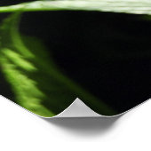 Poster Fleurs d'hydrangée violette (Coin)