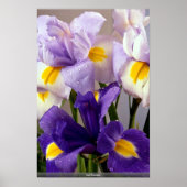 Poster Fleurs d'Iris (Devant)