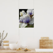 Poster Fleurs d'iris blanches et violettes (Cuisine)