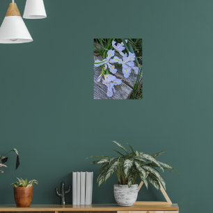 Poster Fleurs d'Iris Violet Clair
