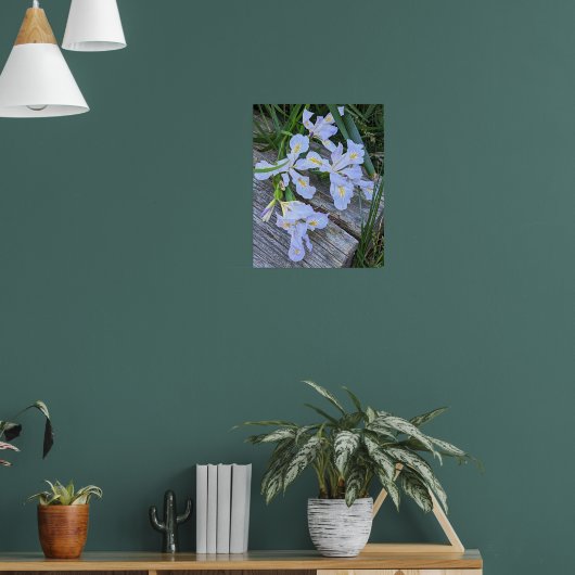 Poster Fleurs d'Iris Violet Clair (Salon 1)