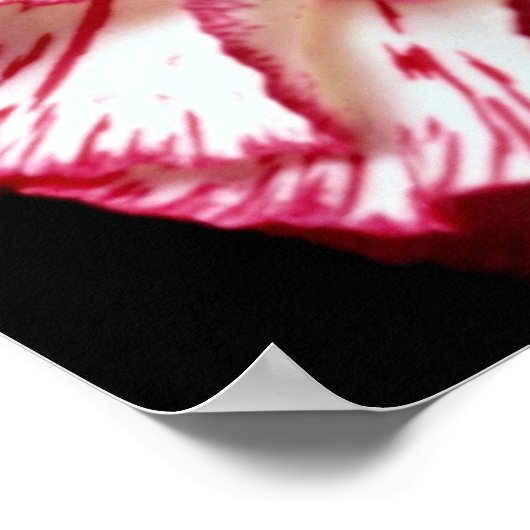 Poster Fleurs d'oeillets rayées de bonbons (Coin)