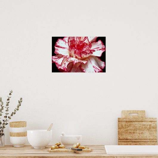 Poster Fleurs d'oeillets rayées de bonbons (Cuisine)