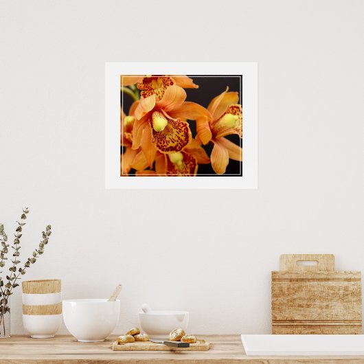 Poster Fleurs d'orchidées (Cuisine)