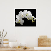 Poster Fleurs d'orchidées (Cuisine)