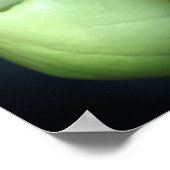 Poster Fleurs d'orchidées de chèvre blanche miroir Abstra (Coin)