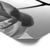 Poster Fleurs d'orchidées noires et blanches sur la tige (Coin)