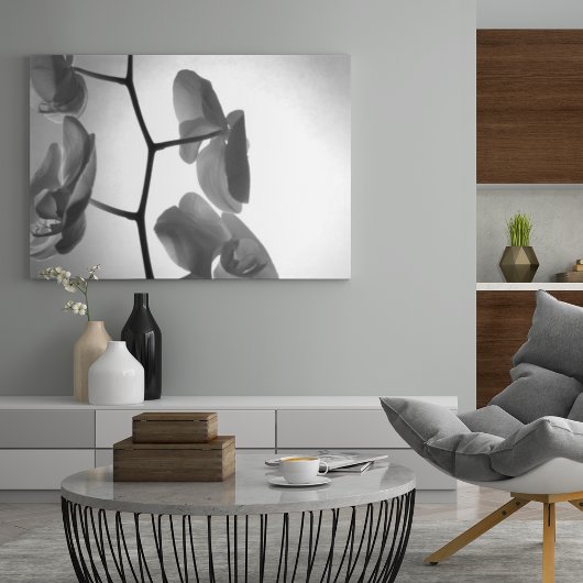 Poster Fleurs d'orchidées noires et blanches sur la tige