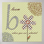 Poster Fleurs douces (Devant)