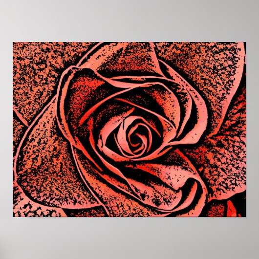 POSTER FLEURS DU JARDIN DE PAYS (Devant)