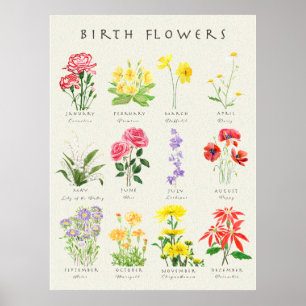 Poster Fleurs du mois de naissance peintes à la main aqua