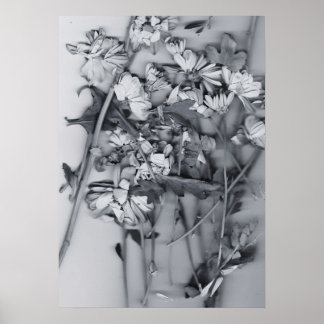Poster Fleurs en noir et blanc