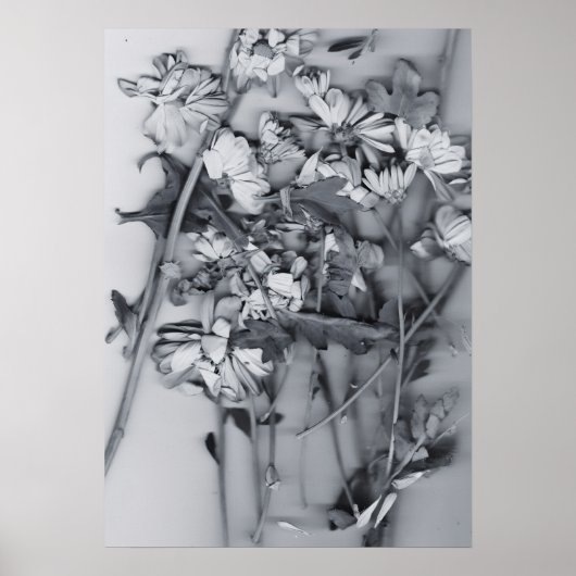 Poster Fleurs en noir et blanc (Devant)