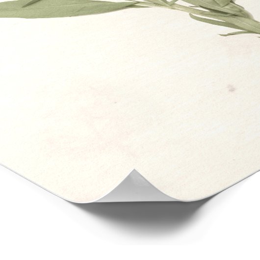 Poster Fleurs en rose (Coin)