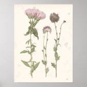 Poster Fleurs en rose (Devant)